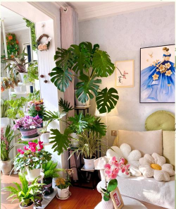 绿化景观设计，提升环境品质，创造宜人空间