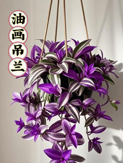 绿化景观设计，提升环境品质，创造宜人空间