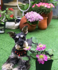 绿化景观设计，提升环境品质，创造宜人空间