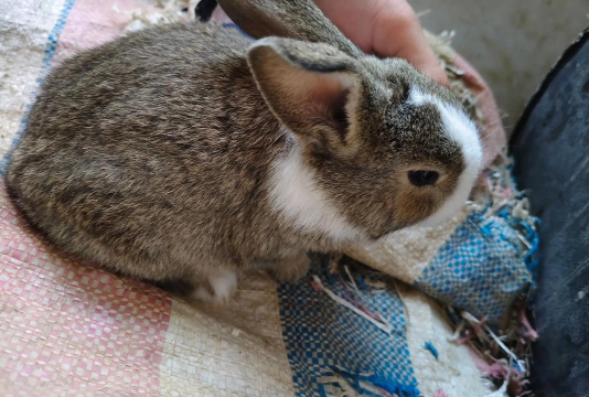 绿化景观设计，提升环境品质，创造宜人空间