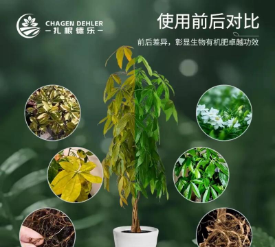 家庭养花用生根粉