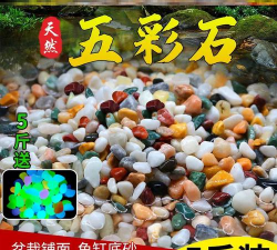 玫瑰花怎么养才不会枯萎，掌握浇水施肥技巧，轻松延长花期