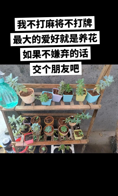 栀子花怎么养，掌握浇水技巧，避免黄叶掉苞