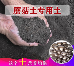 蘑菇土可以养花吗
