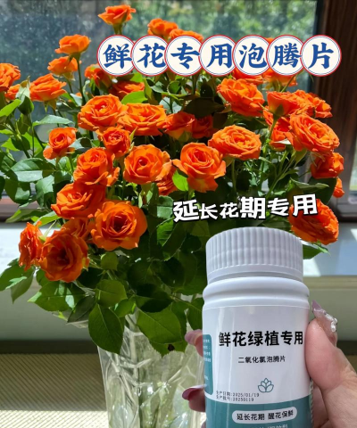 家庭养花用生根粉