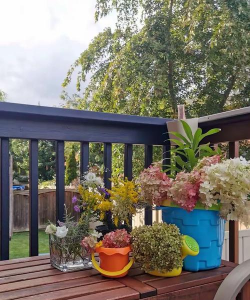 家庭养花用生根粉