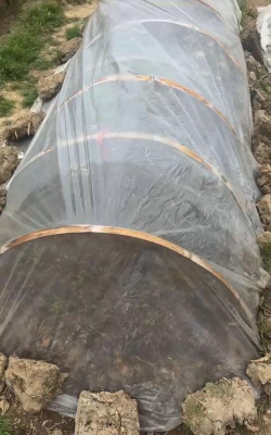 养花大棚薄膜厚度