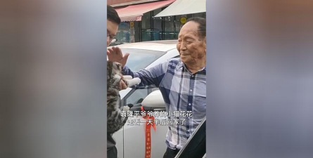 芍药花怎么养，掌握关键要点，花开更鲜艳