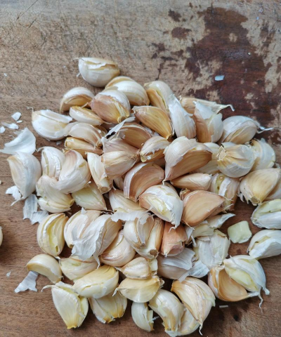 芍药花怎么养，掌握关键要点，花开更鲜艳