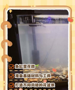 芍药花怎么养，掌握关键要点，花开更鲜艳