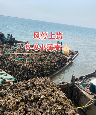 葡萄栽培，掌握关键技术，实现优质丰产