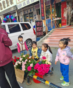 家庭养花用生根粉