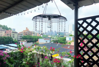 柿树虫病防治，识别常见虫害，掌握有效方法