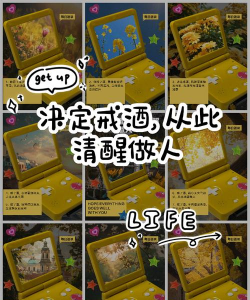 绯花玉怎么养，掌握关键技巧，轻松养出好状态