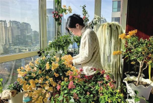 无土栽培技术，突破土壤限制，开启高效种植新篇章