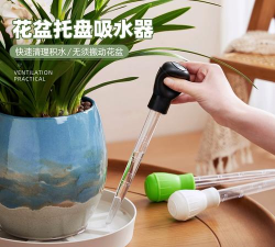 无土栽培技术，突破土壤限制，开启高效种植新篇章