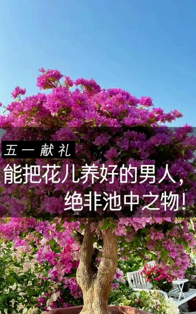 别墅园林绿化设计，打造私密空间，提升居住品质