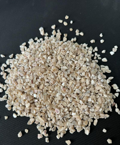 芍药花怎么养，掌握关键要点，花开更鲜艳