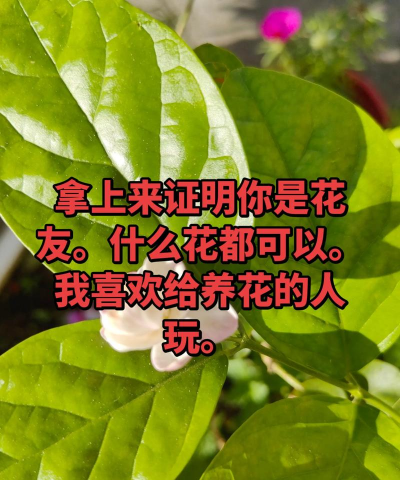 别墅园林绿化设计，打造私密空间，提升居住品质