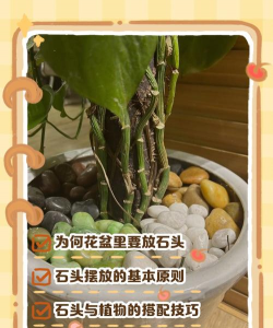 别墅园林绿化设计，打造私密空间，提升居住品质