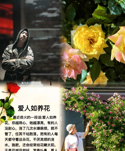 别墅园林绿化设计，打造私密空间，提升居住品质