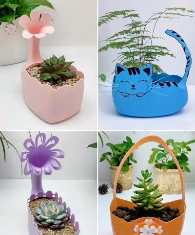 芍药花怎么养，掌握关键要点，花开更鲜艳