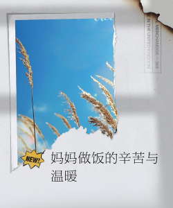 葡萄栽培，掌握关键技术，实现优质丰产