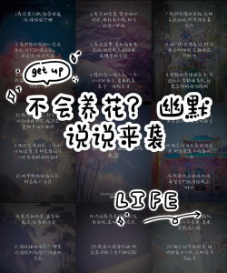 葡萄栽培，掌握关键技术，实现优质丰产