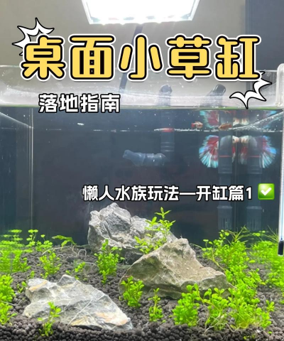 绿化景观设计，提升环境品质，创造宜人空间