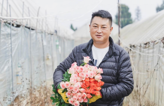 家庭养花用生根粉