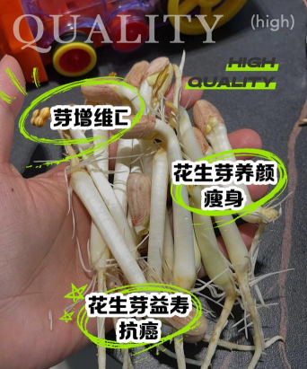 玫瑰花怎么养才不会枯萎，掌握浇水施肥技巧，轻松延长花期