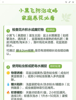 柿树虫病防治，识别常见虫害，掌握有效方法
