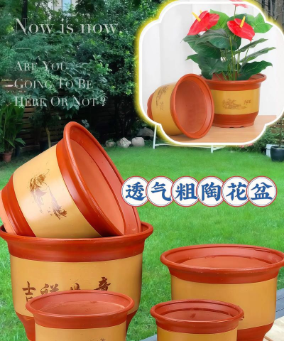 柿树虫病防治，识别常见虫害，掌握有效方法