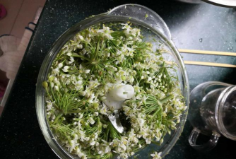 韭菜花打碎养花