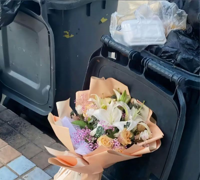 芍药花怎么养，掌握关键要点，花开更鲜艳