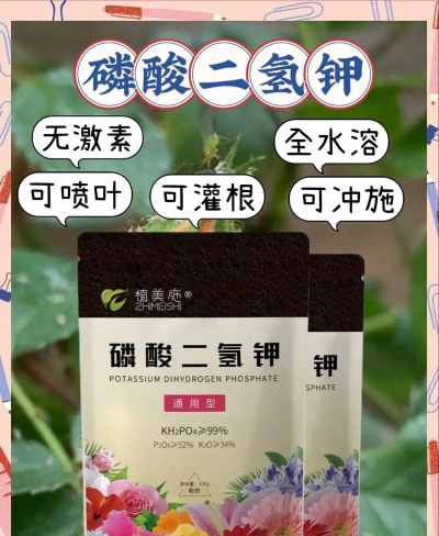 无土栽培技术，突破土壤限制，开启高效种植新篇章