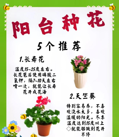 栀子花怎么养，掌握浇水技巧，避免黄叶掉苞