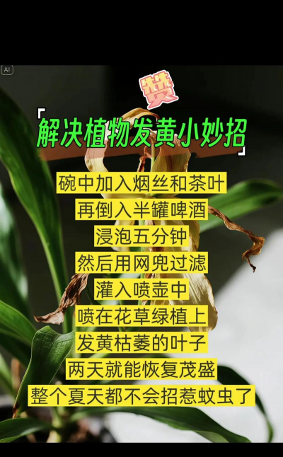 家庭养花用生根粉