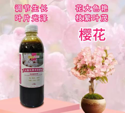 家庭养花用生根粉