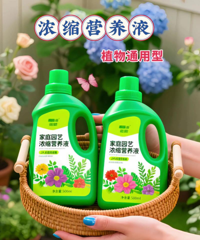 家庭养花用生根粉