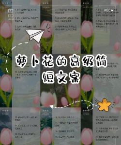 萝卜养花文案句子简短