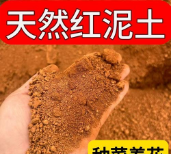偏酸性红泥土养花