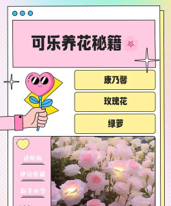 家庭养花用生根粉