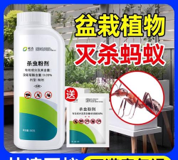 家庭养花用生根粉