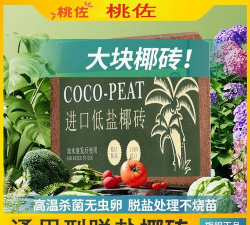 芍药花怎么养，掌握关键要点，花开更鲜艳