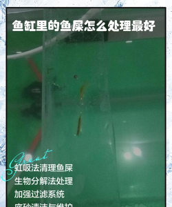 葡萄栽培，掌握关键技术，实现优质丰产