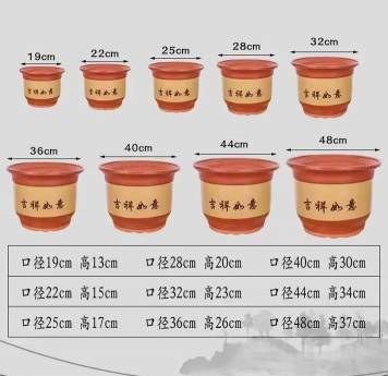 葡萄栽培，掌握关键技术，实现优质丰产