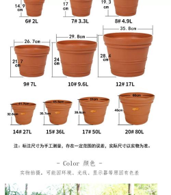 葡萄栽培，掌握关键技术，实现优质丰产