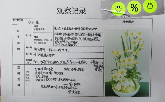 葡萄栽培，掌握关键技术，实现优质丰产