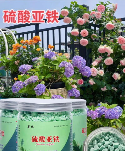 无土栽培技术，突破土壤限制，开启高效种植新篇章